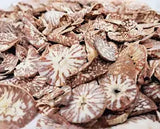 SUPARI CUT 100G