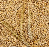 Barley whole 2lb