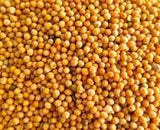 Mustard Seeds 200gm